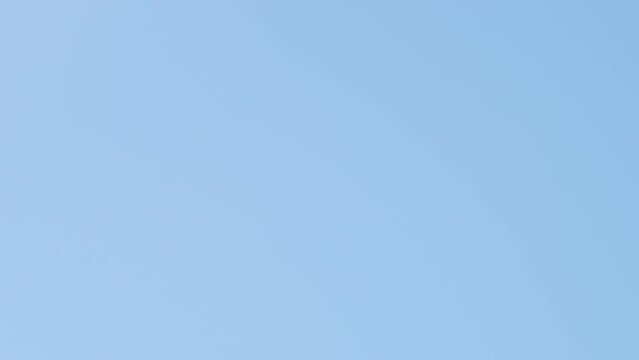 旅客機　着陸　成田空港　2023