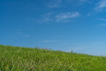 青空と新緑の風景