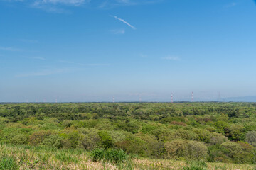 青空と新緑の風景