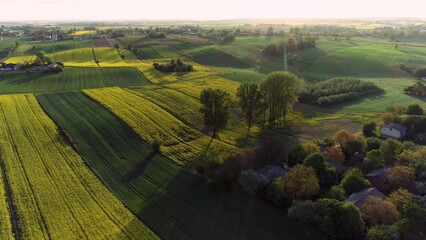 Zachwycające ujęcia dronem polskiej wsi: rzepak, młode zboża i malownicze pola o wschodzie słońca