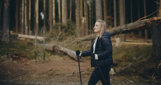 Portrait of Hiker In Mountains Walking in Forest 