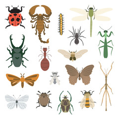 Set of insects and bugs colorful set flat illustration design vector collection entomology drawing pack © cocomi