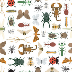 Seamless pattern of insects and bugs entomology flat vector illustration - obrazy, fototapety, plakaty