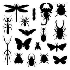 Silhouette of bugs and insects variety entomology vector flat illustration icon set collection