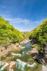 Fototapeta na wymiar 龍王峡と新緑（栃木県日光市）