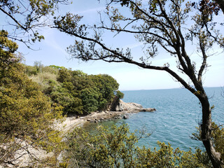 藻振鼻（もぶりのはな）からの景色