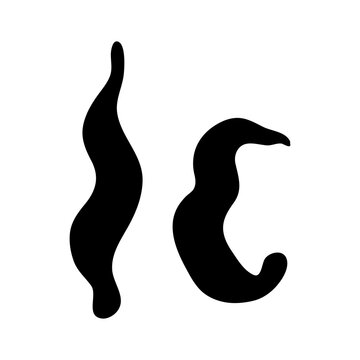 Leech vector icon illustration on white background..eps