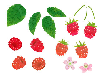 レトロな手描きのラズベリーのイラスト素材セット