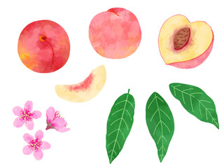 レトロな手描きの桃、ピーチのイラスト素材セット