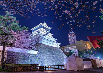 小倉城の夜桜ライトアップ