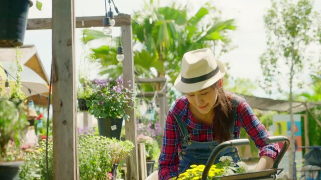Asian gardener woman shopping for potted plants at plantation shop. Young entrepreneur working in botanical nursery garden. Sustainability in small business owner. 