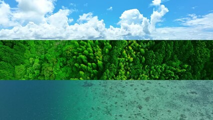 Collage movie of various nature scenes concept. Wipe transition from white background.