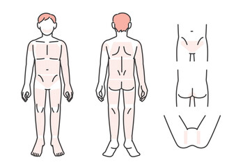 男性の脱毛部位パーツの説明図のベクターイラスト素材／髭／エステ