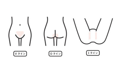 女性の脱毛パーツの説明に関するベクターイラスト素材／VIO