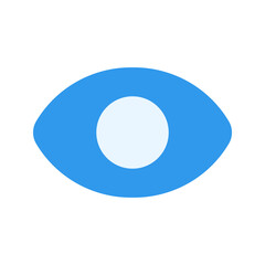 vision flat icon