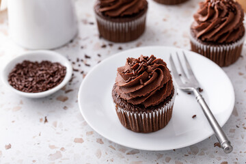 Chocolate cupcakes with dark chocolate frosting and sprinkles