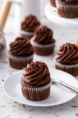 Chocolate cupcakes with dark chocolate frosting and sprinkles