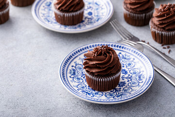 Chocolate cupcakes with dark chocolate frosting and sprinkles