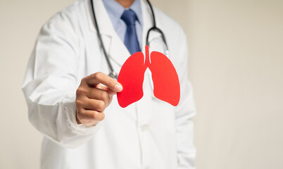 Doctor holding a lung shape symbol while standing in the hospital