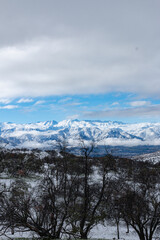 Monta&ntilde;as nevadas