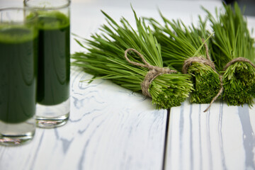 In glass glasses poured wheatgrass obtained from freshly cut wheatgrass. Wheatgrass contains a lot...