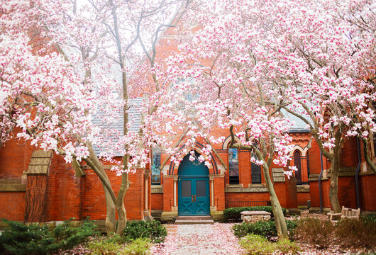 ITHACA, NY - April 18, 2023: Cornell University  in spring time