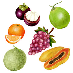 Mixed fruit set watercolor painting