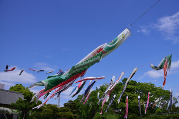 青空を元気よく泳ぐ鯉のぼり