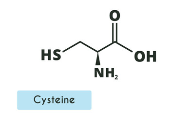 Cysteine Molecule Structure.  (l-cysteine, Cys, C). Skeletal formula. Amino acid.