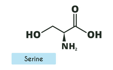 Serine Molecule Structure. (l-serine, Ser, S). Skeletal formula. Amino acid.