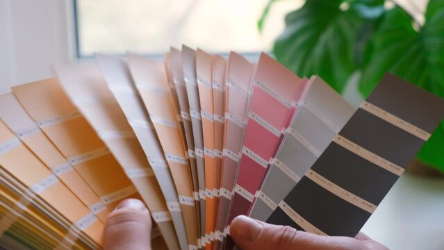 The designer holds pantone fan of color guide in hand. Selection of colors for the color of the walls apartment distribution during promotion concept