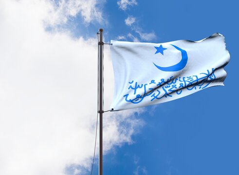 East Turkistan Islamic Republic, East Turkistan Islamic Republic - Waving Flag