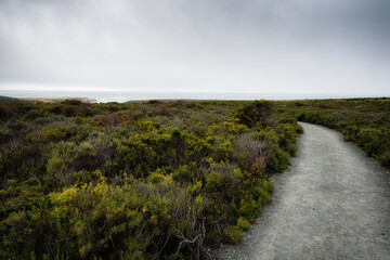 Hiking trail along the shore. Montana de Oro Bluff trail, California