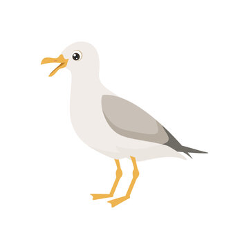 Vector cute seagull isolated on white. Cartoon funny seabird. Flat icon.
