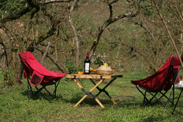 Outdoor dining, picnic, Travel, Tour