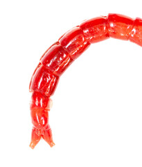 Red bloodworm isolated on white background. Macro.
