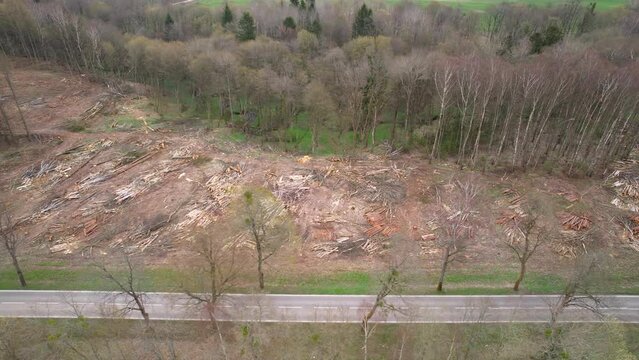 Aerial overview showing empty road beside cleared woodland forest