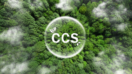 Fototapeta CCS acronym for Carbon Capture Storage words CCS in bubbles with a forest background. Net zero action concept. Save energy, green energy, reduce carbon footprint, carbon capture. World environment day obraz