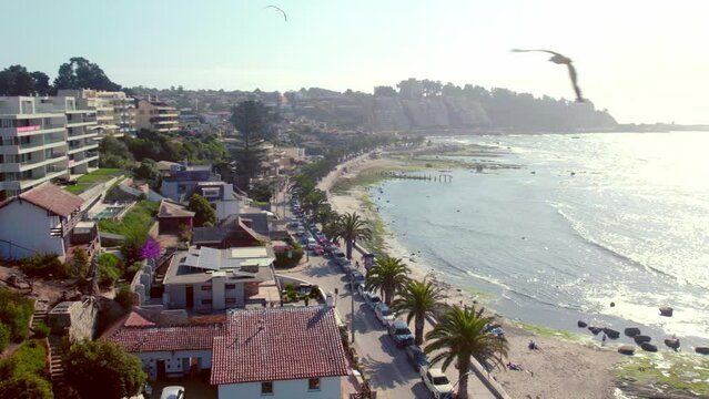 Aerial Drone Fly Above Coastline of Pejerrey Beach Algarrobo Chile Vibrant Sunny Skyline, Seagulls Fly Around Hotels and Resorts of Idyllic Travel Destination