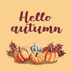 Hello autumn banner or greeting card for the autumn holiday. Pumpkins and inscriptions in a flat style. Vector seasonal illustration.
