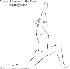 Sketch of young woman practicing yoga, doing Crescent Lunge on the Knee or Low Lunge pose or Anjaneyasana. Standing and Balancing. Beginner. Vector illustration isolated on transparent background.