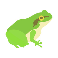 アマガエル。フラットなベクターイラスト。
Tree frog. Flat designed vector illustration.