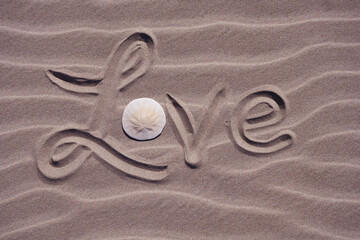 Fototapeta na wymiar Love written in the sand on the beach, a sand dollar is the letter o, tourism and holiday concept
