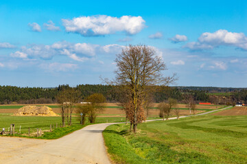 Fototapeta na wymiar Rural road between agricultural fields, Czech Republic
