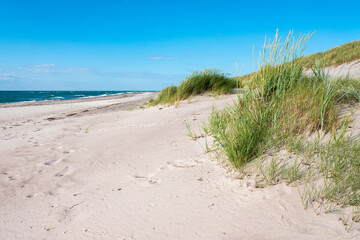 Dünen mit Strandgras am unberührten Strand der Ostsee, Halbinsel Darß, Nationalpark Vorpommersche Boddenlandschaft