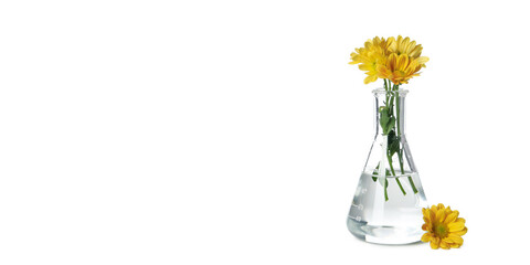 Fototapeta premium Concept of biology research, test tube and flowers isolated on white background