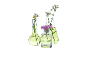 Concept of biology research, test tubes and flowers isolated on white background