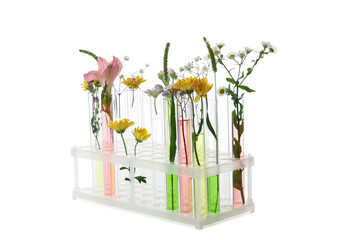 Concept of biology research, test tubes and flowers isolated on white background