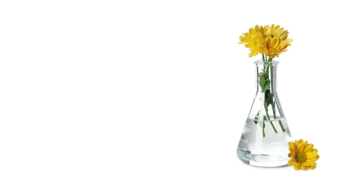 Concept of biology research, test tube and flowers isolated on white background