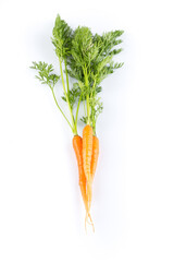 fresh carrots isolated on white background - 595783847